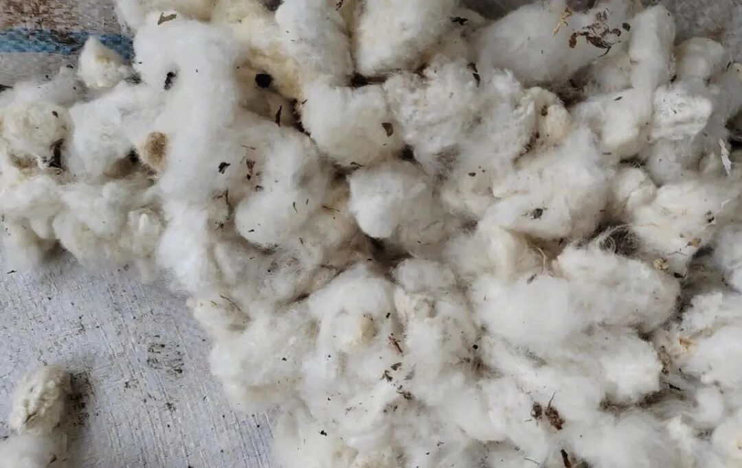 寰俊鍏紬鍙峰浘鐗