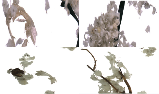 寰俊鍏紬鍙峰浘鐗